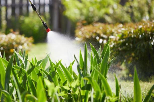 Tamper-Resistant Bait Stations for Rodents in St. John