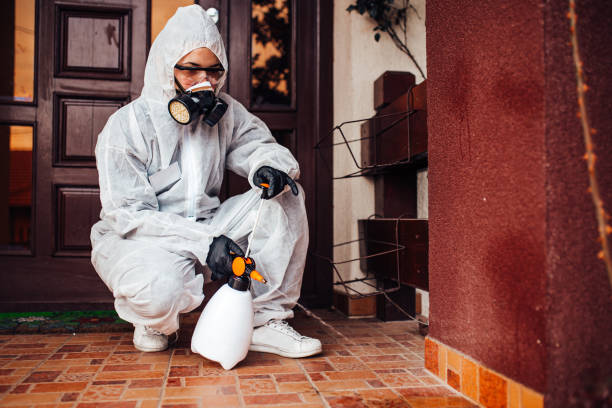Attic and Crawl Space Rodent Treatment in St. John